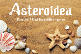 Asteroidea: A Fun Vintage Display Font for Editors