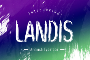 Landis: A Playful Display Font for Modern Web Design