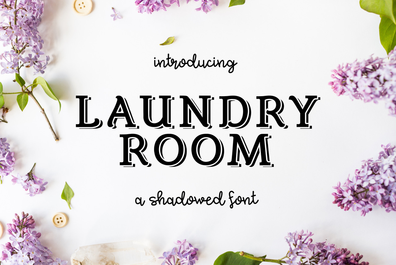 Laundry Room: The Slab Serif Font for Bold Campaigns