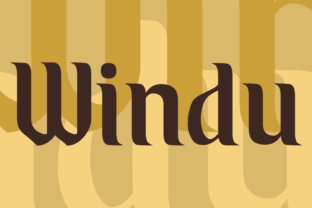 Windu Display Font Review for Bold Campaign Logos